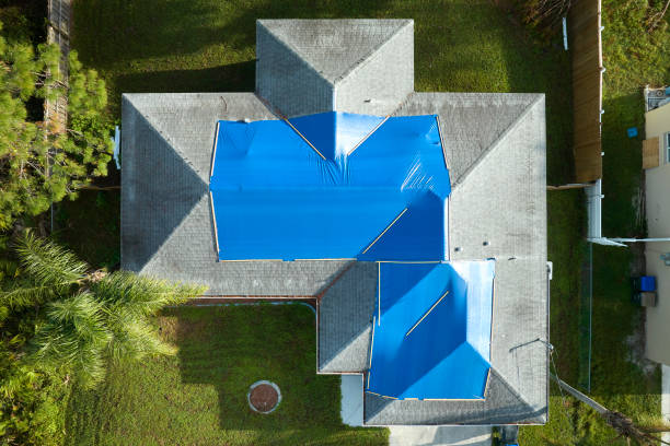 Best Asphalt Shingle Roofing  in Sturgeon, PA