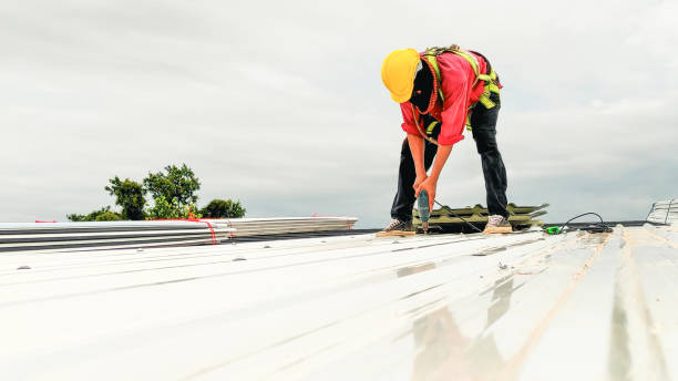 Best Roof Maintenance and Cleaning  in Sturgeon, PA